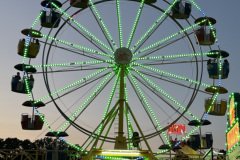 Day-1-Suzan-Trinque-20